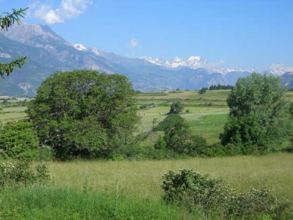 Alpineaccomodation 吉耶斯特尔 外观 照片